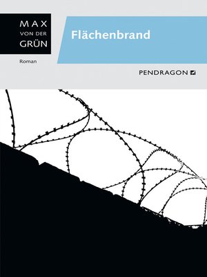 cover image of Flächenbrand